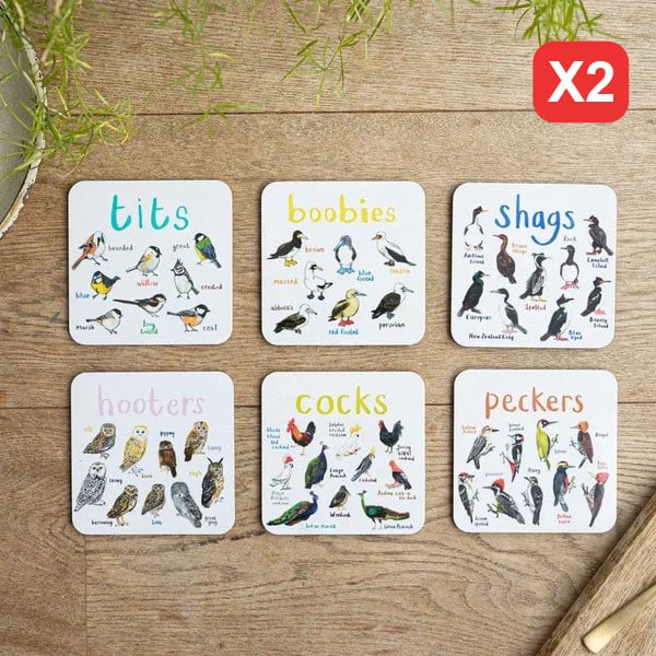 Set of 4 Bird Pun Coasters