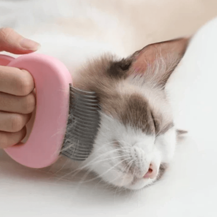 Massage & Grooming Pleasure for Cat - Hair Removal Massaging Shell Comb