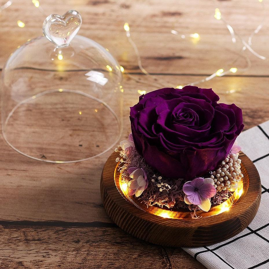 Natural Everlasting Rose in Glass Dome Beauty and the Beast Dried Flowers Birthday Valentine's Day Wedding Gift For Home Decor