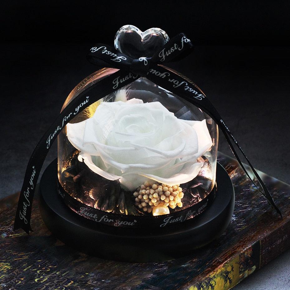 Natural Everlasting Rose in Glass Dome Beauty and the Beast Dried Flowers Birthday Valentine's Day Wedding Gift For Home Decor