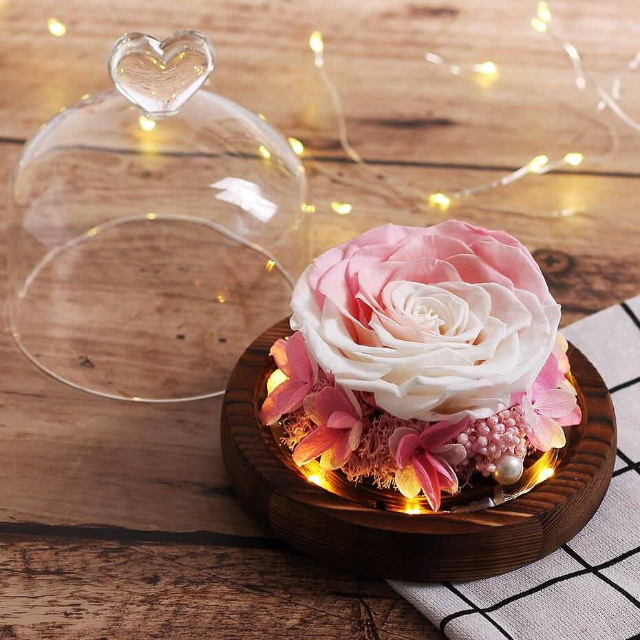 Natural Everlasting Rose in Glass Dome Beauty and the Beast Dried Flowers Birthday Valentine's Day Wedding Gift For Home Decor