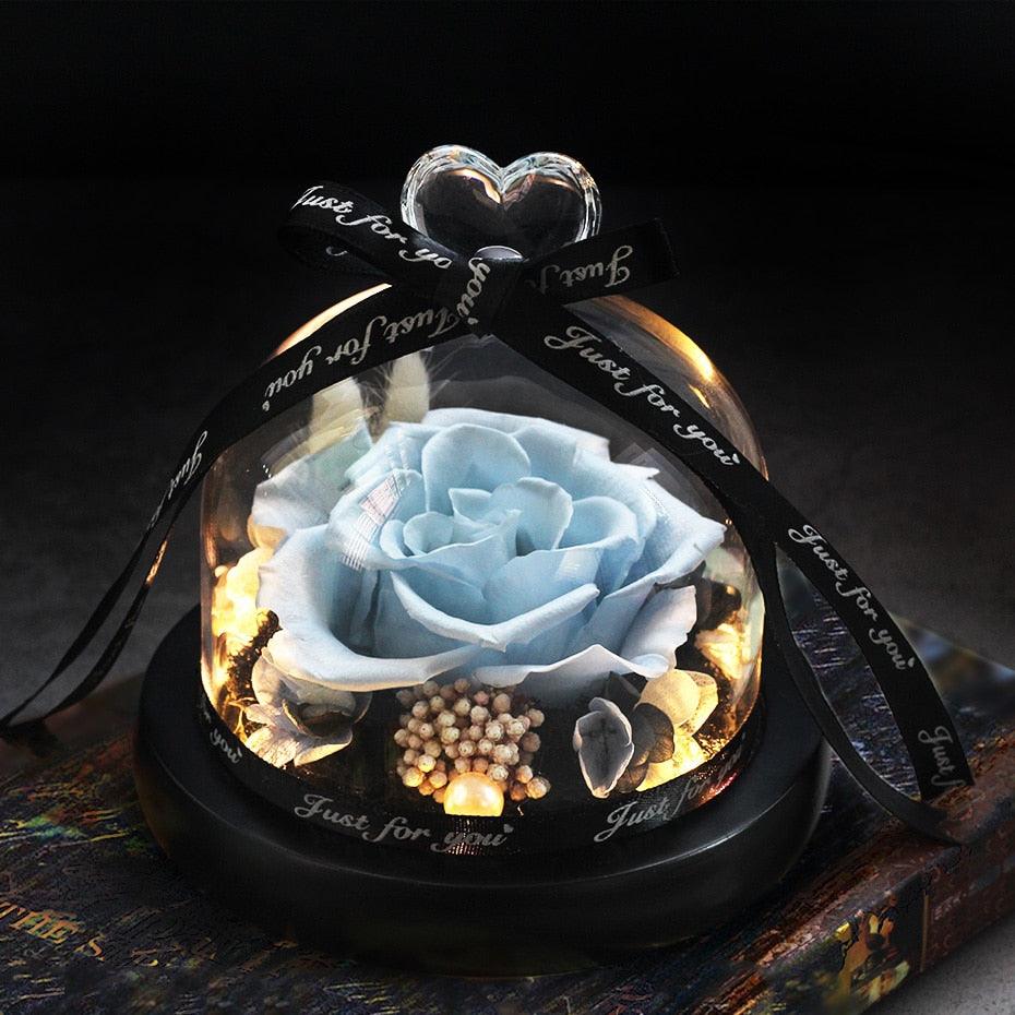 Natural Everlasting Rose in Glass Dome Beauty and the Beast Dried Flowers Birthday Valentine's Day Wedding Gift For Home Decor