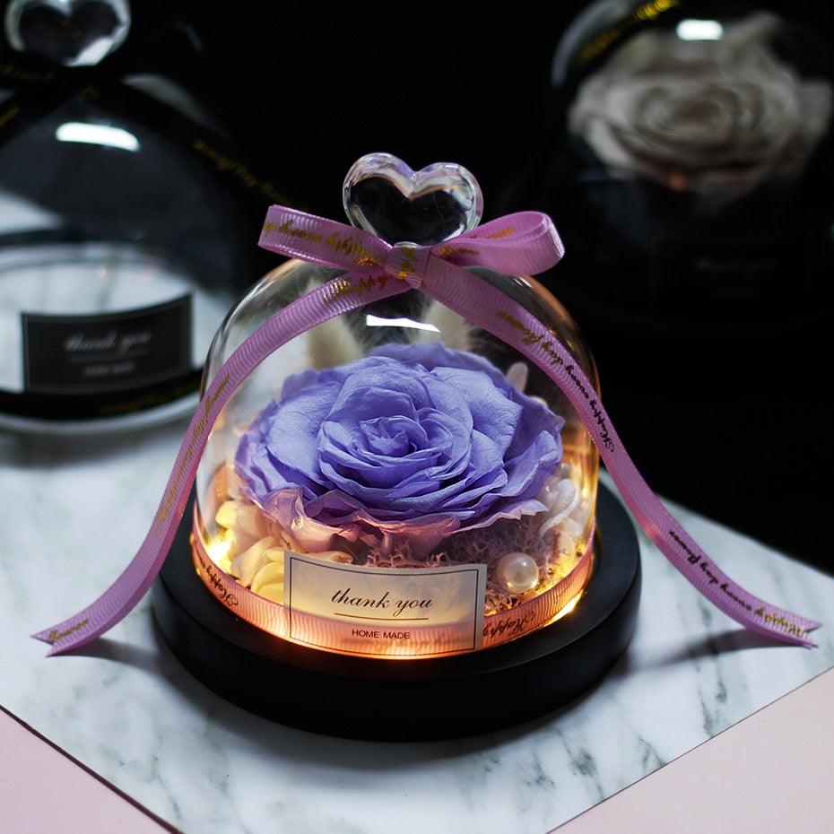 Natural Everlasting Rose in Glass Dome Beauty and the Beast Dried Flowers Birthday Valentine's Day Wedding Gift For Home Decor