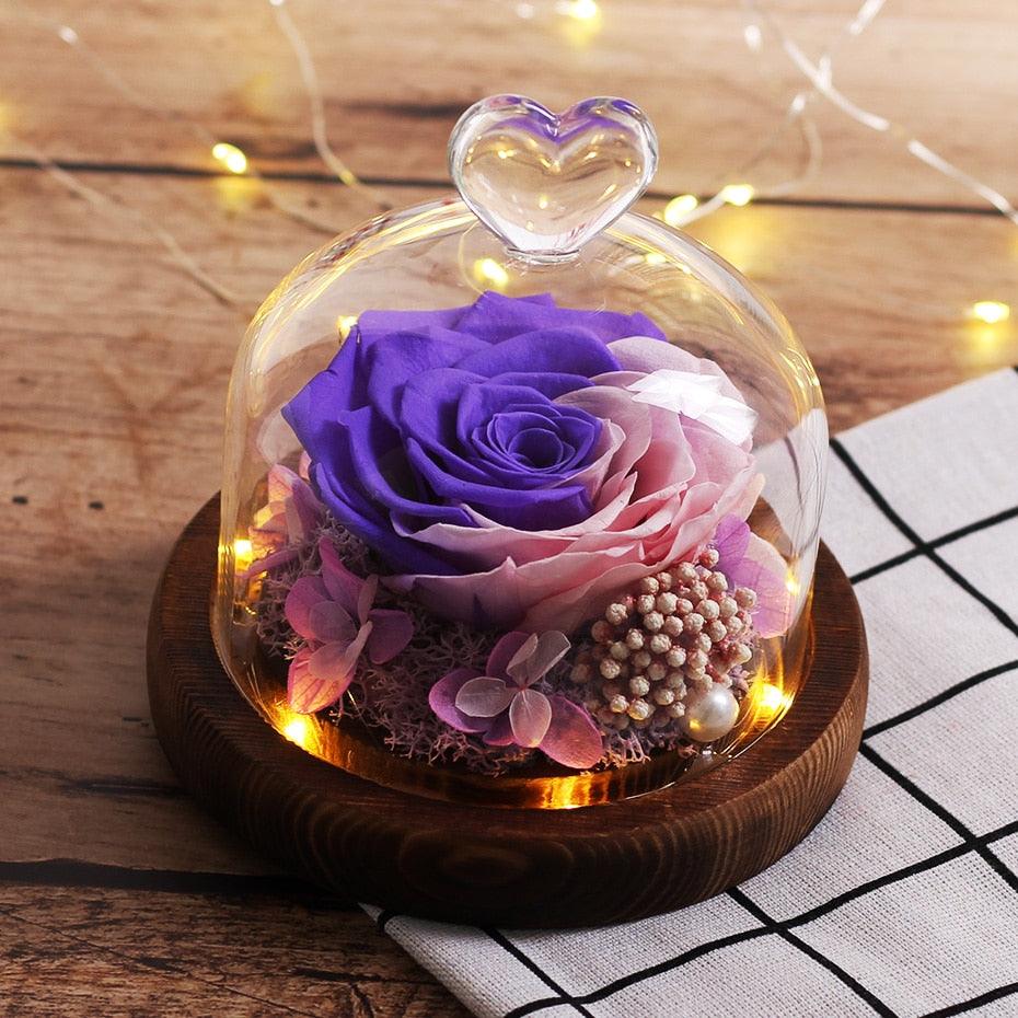 Natural Everlasting Rose in Glass Dome Beauty and the Beast Dried Flowers Birthday Valentine's Day Wedding Gift For Home Decor