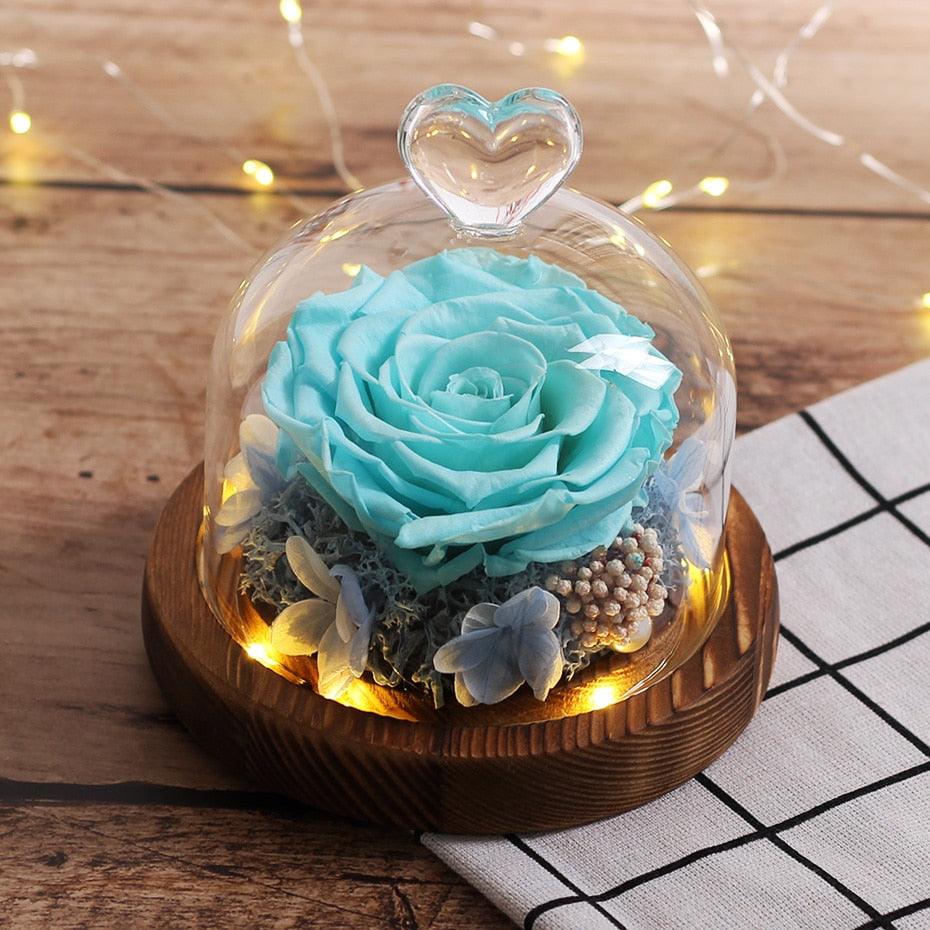 Natural Everlasting Rose in Glass Dome Beauty and the Beast Dried Flowers Birthday Valentine's Day Wedding Gift For Home Decor