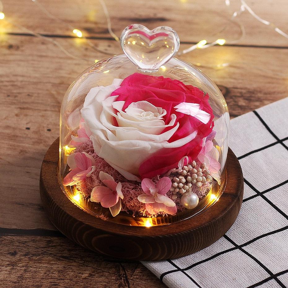 Natural Everlasting Rose in Glass Dome Beauty and the Beast Dried Flowers Birthday Valentine's Day Wedding Gift For Home Decor