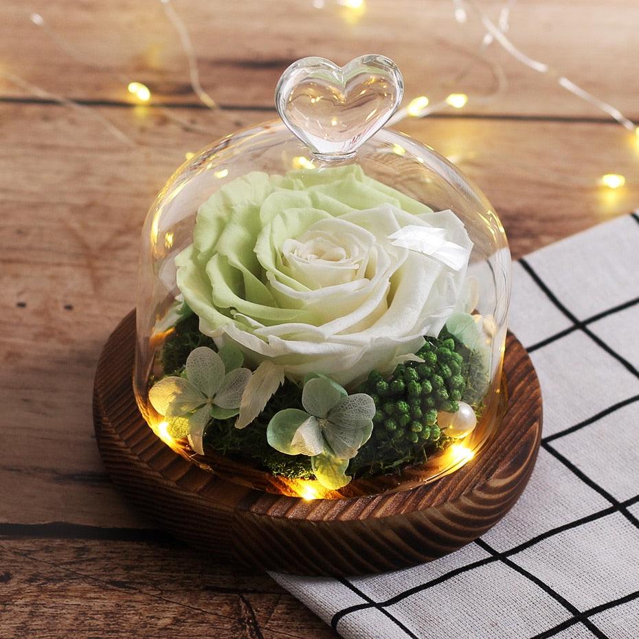 Natural Everlasting Rose in Glass Dome Beauty and the Beast Dried Flowers Birthday Valentine's Day Wedding Gift For Home Decor