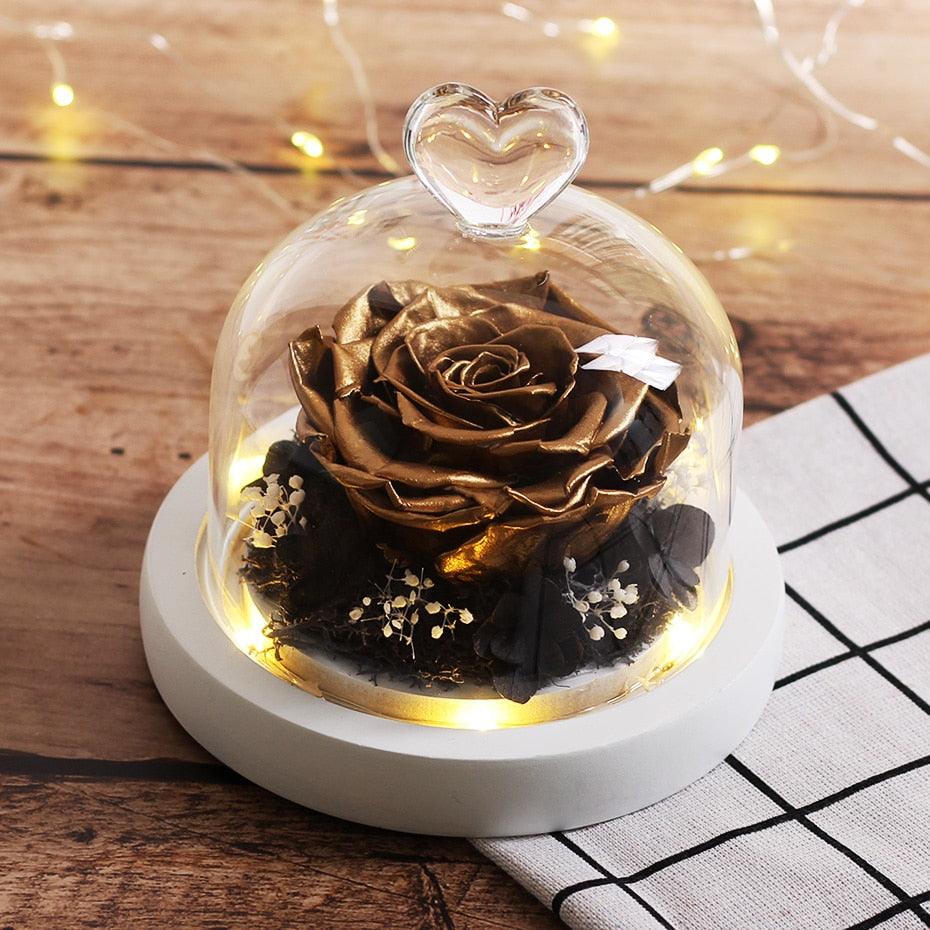 Natural Everlasting Rose in Glass Dome Beauty and the Beast Dried Flowers Birthday Valentine's Day Wedding Gift For Home Decor
