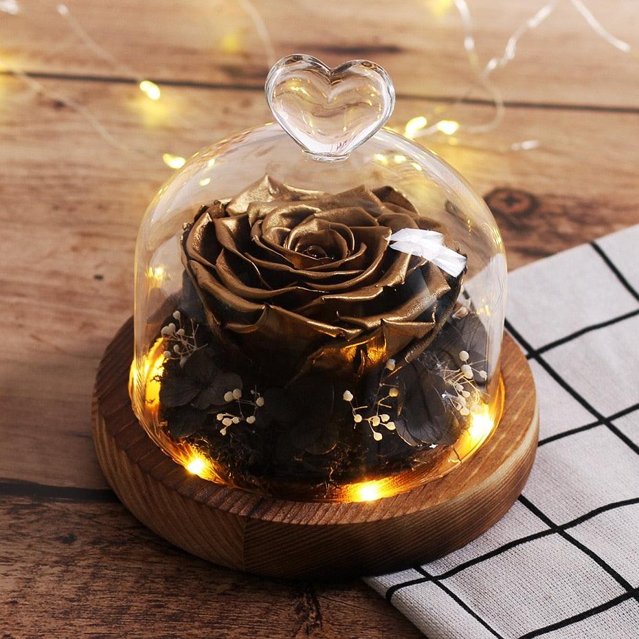 Natural Everlasting Rose in Glass Dome Beauty and the Beast Dried Flowers Birthday Valentine's Day Wedding Gift For Home Decor