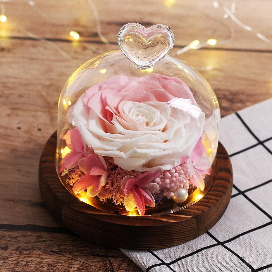 Natural Everlasting Rose in Glass Dome Beauty and the Beast Dried Flowers Birthday Valentine's Day Wedding Gift For Home Decor