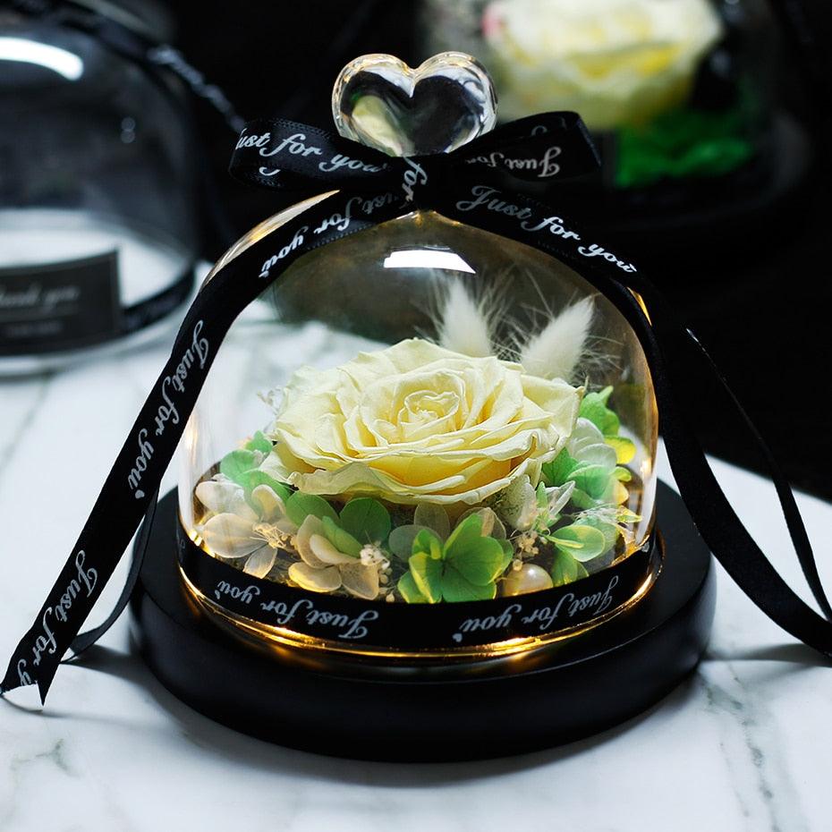 Natural Everlasting Rose in Glass Dome Beauty and the Beast Dried Flowers Birthday Valentine's Day Wedding Gift For Home Decor