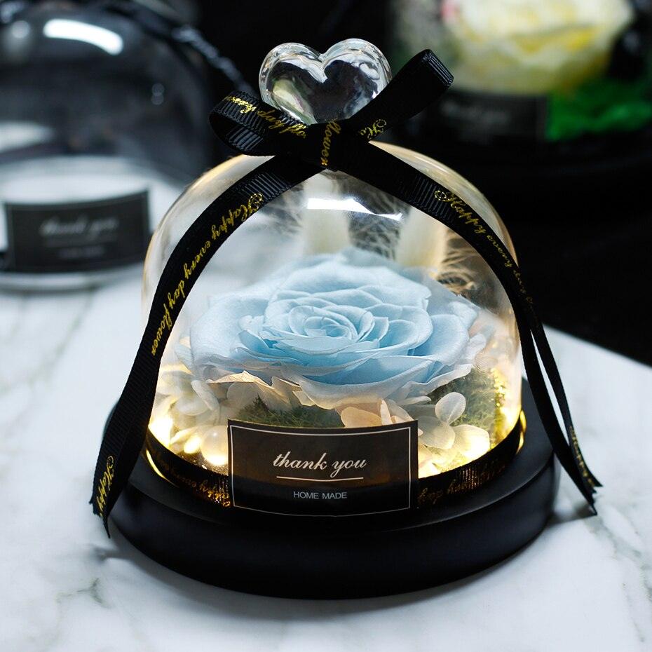 Natural Everlasting Rose in Glass Dome Beauty and the Beast Dried Flowers Birthday Valentine's Day Wedding Gift For Home Decor