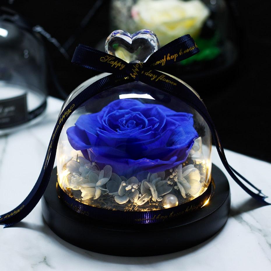 Natural Everlasting Rose in Glass Dome Beauty and the Beast Dried Flowers Birthday Valentine's Day Wedding Gift For Home Decor