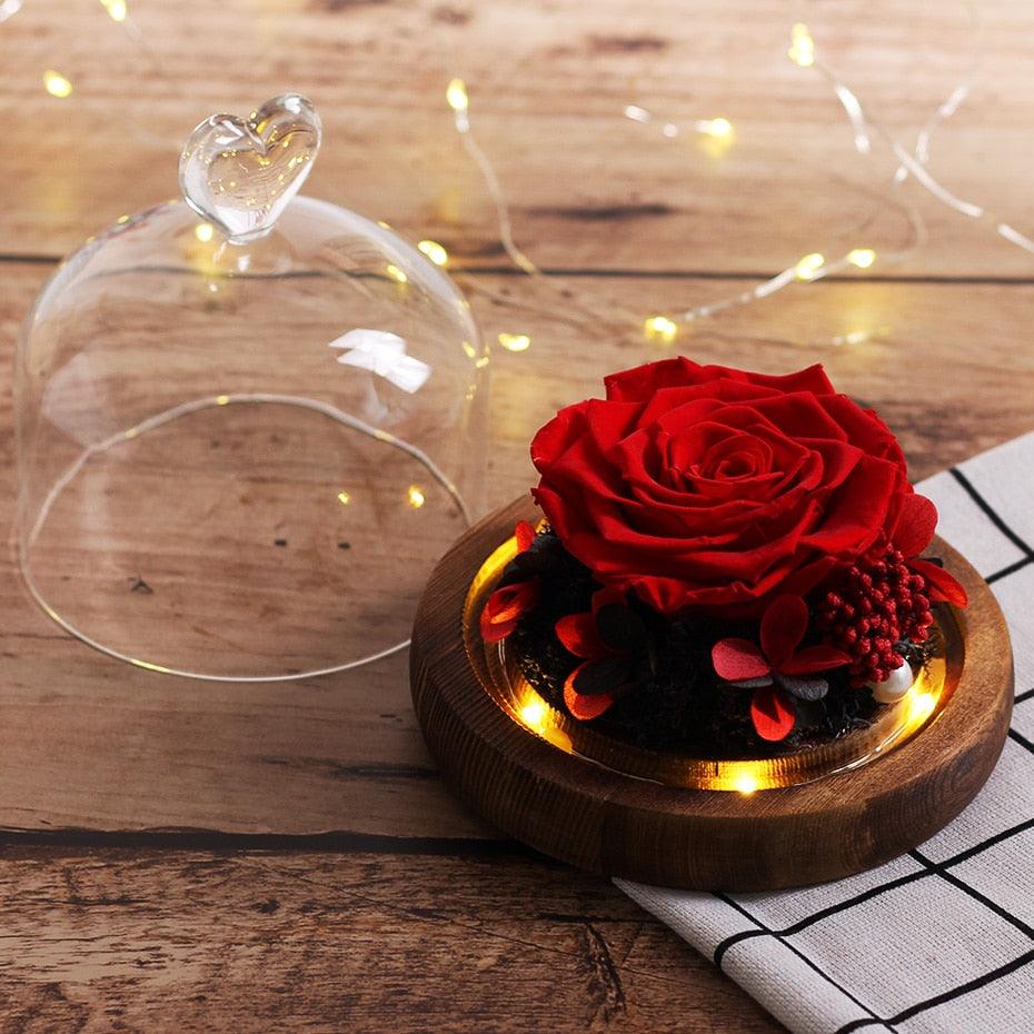 Natural Everlasting Rose in Glass Dome Beauty and the Beast Dried Flowers Birthday Valentine's Day Wedding Gift For Home Decor