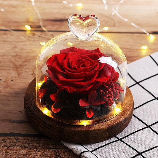 Natural Everlasting Rose in Glass Dome Beauty and the Beast Dried Flowers Birthday Valentine's Day Wedding Gift For Home Decor