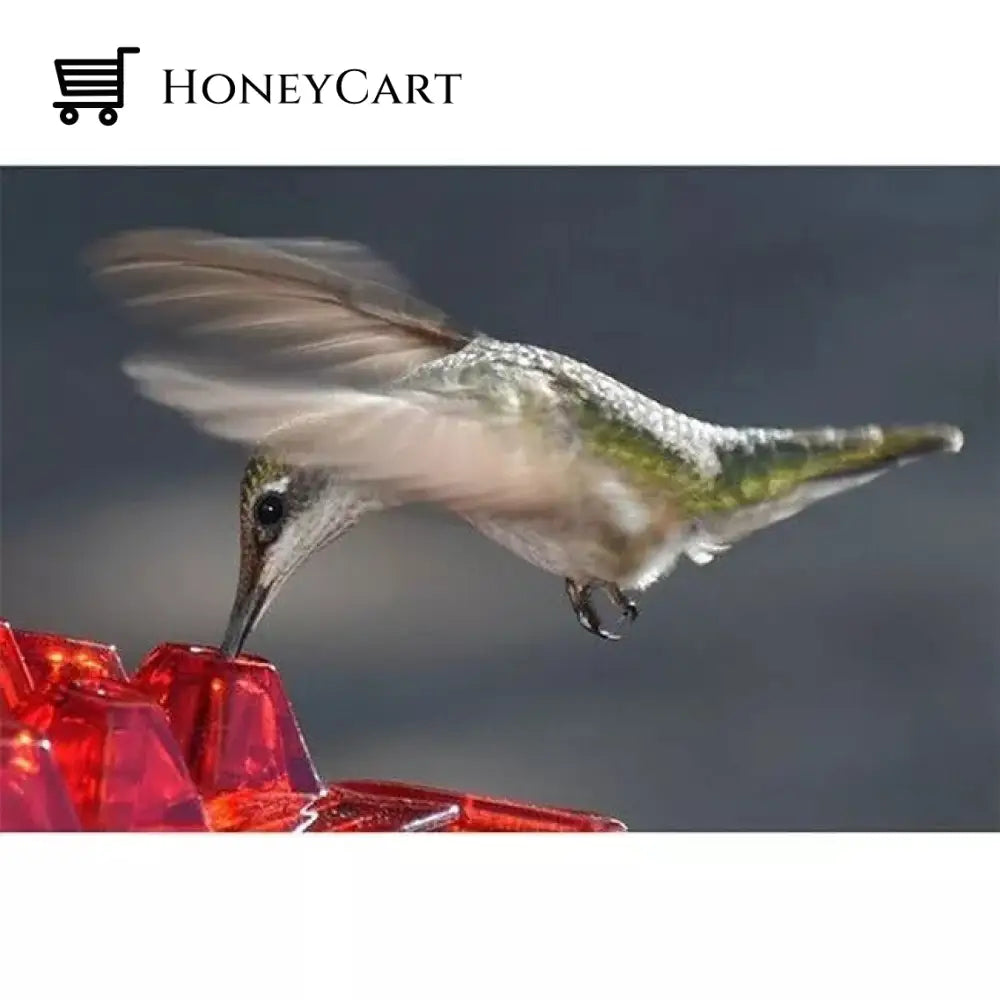 Ant Proof Sweety Hummingbird Feeder With Perch Ltt-Feeder