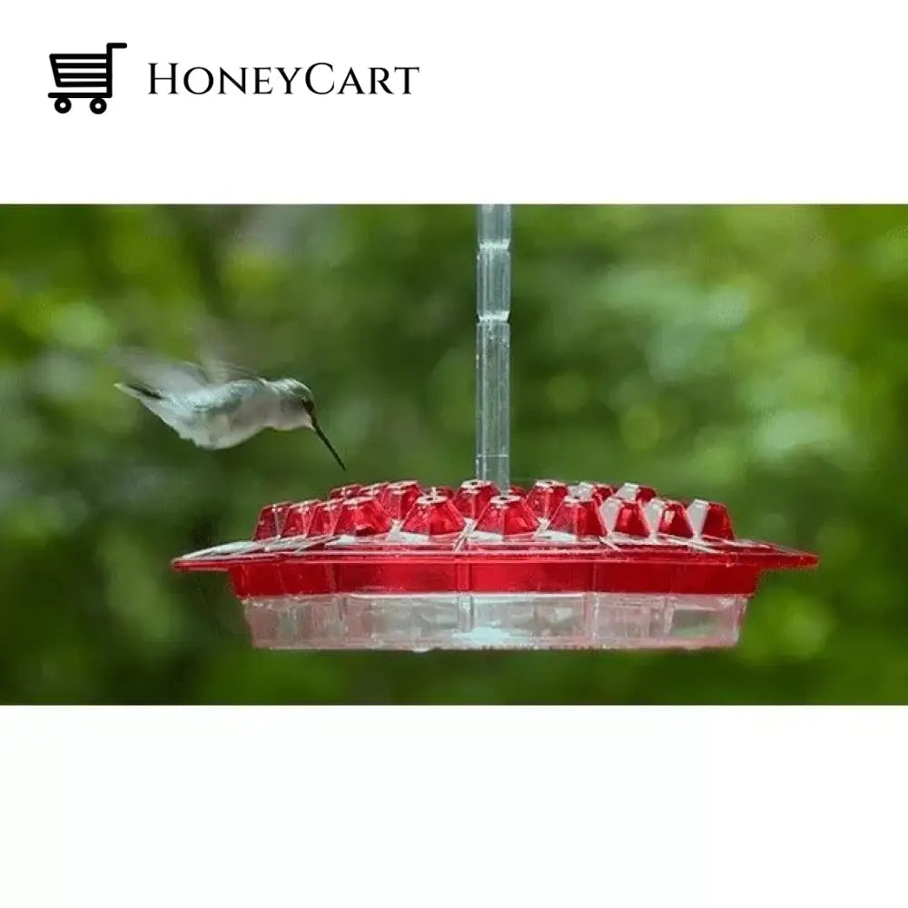 Ant Proof Sweety Hummingbird Feeder With Perch Ltt-Feeder