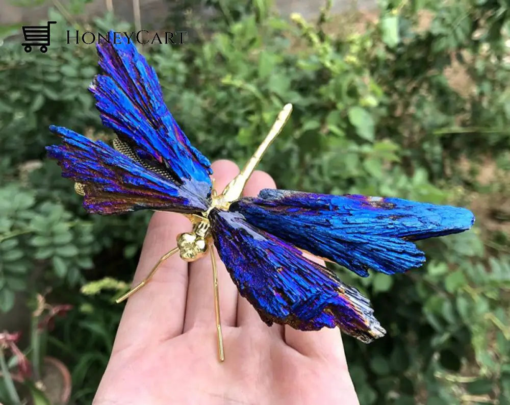 Aura Tourmaline Kyanite Dragonely50% Off Household & Accessories
