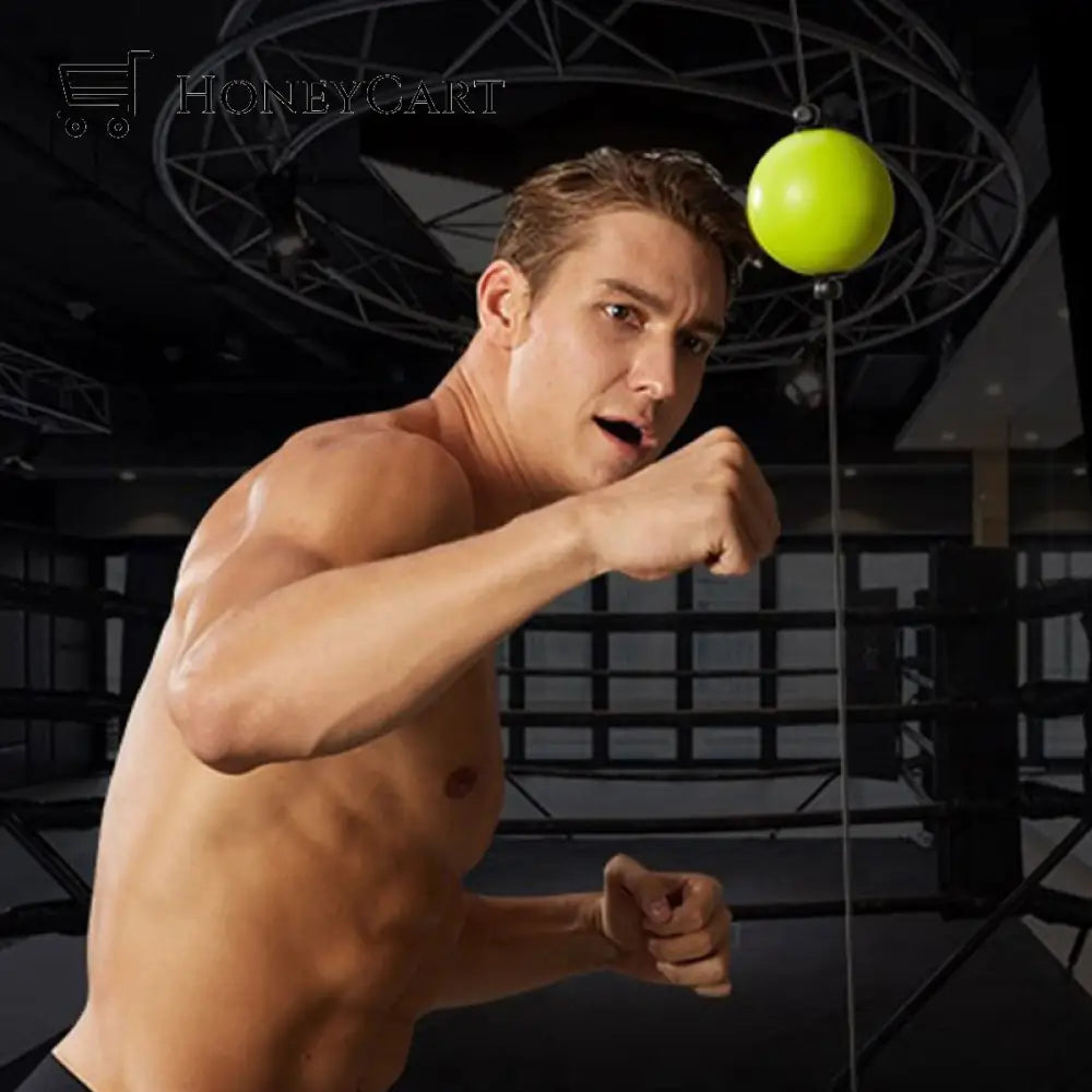 Boxing Speed Ball