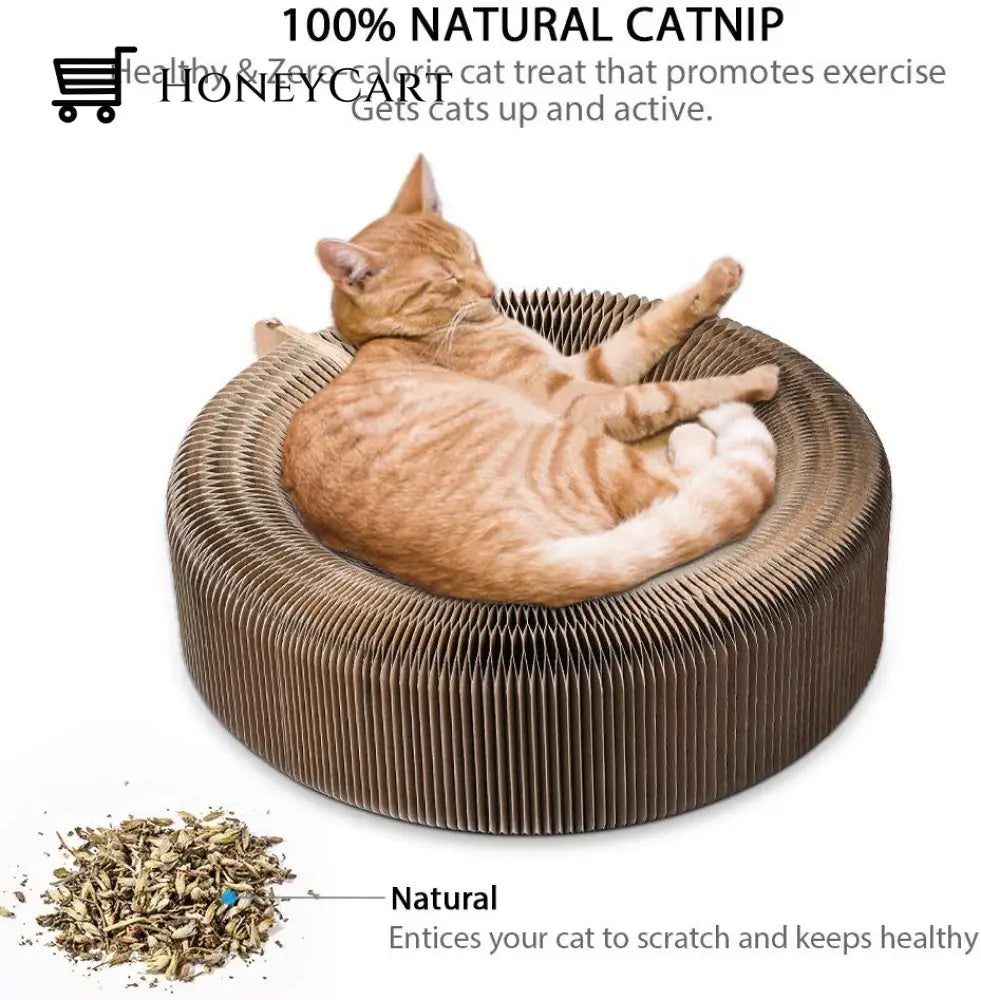Cat Magic Foldable Scratch Toy Board Toys