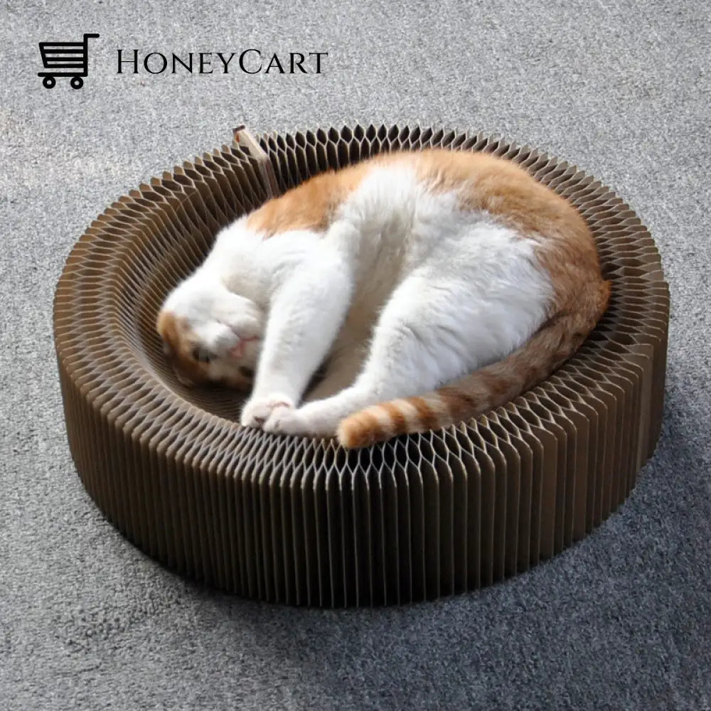 Cat Magic Foldable Scratch Toy Board Toys