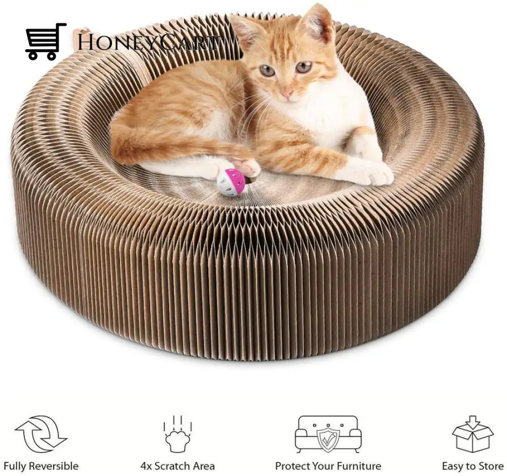 Cat Magic Foldable Scratch Toy Board Toys