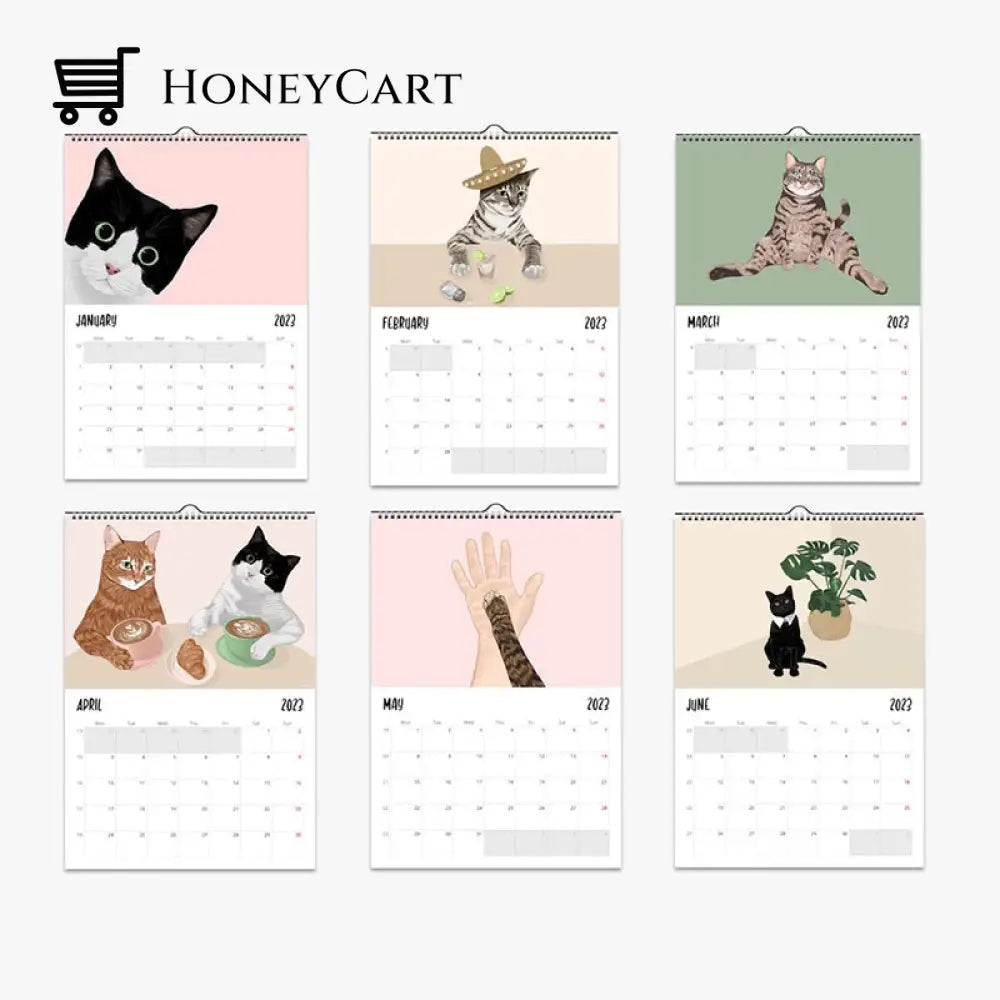 Cat Wall Calendar 2024