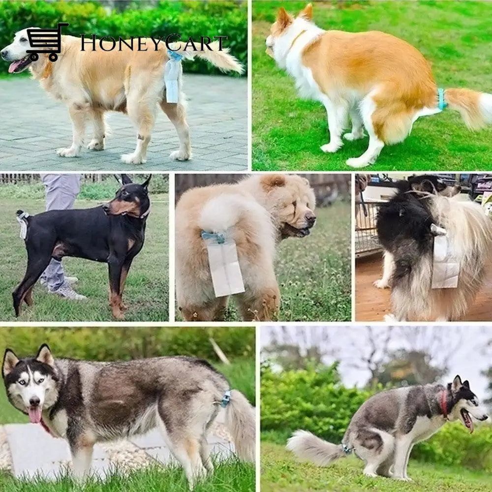 Clip To Gather The Dogs Stool Pet Care