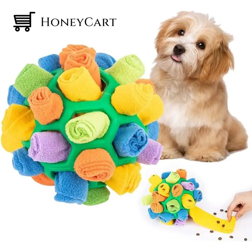 Dog Chew Toy