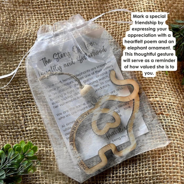 Generouslyed Friendship Gift • Sisterhood Elephant