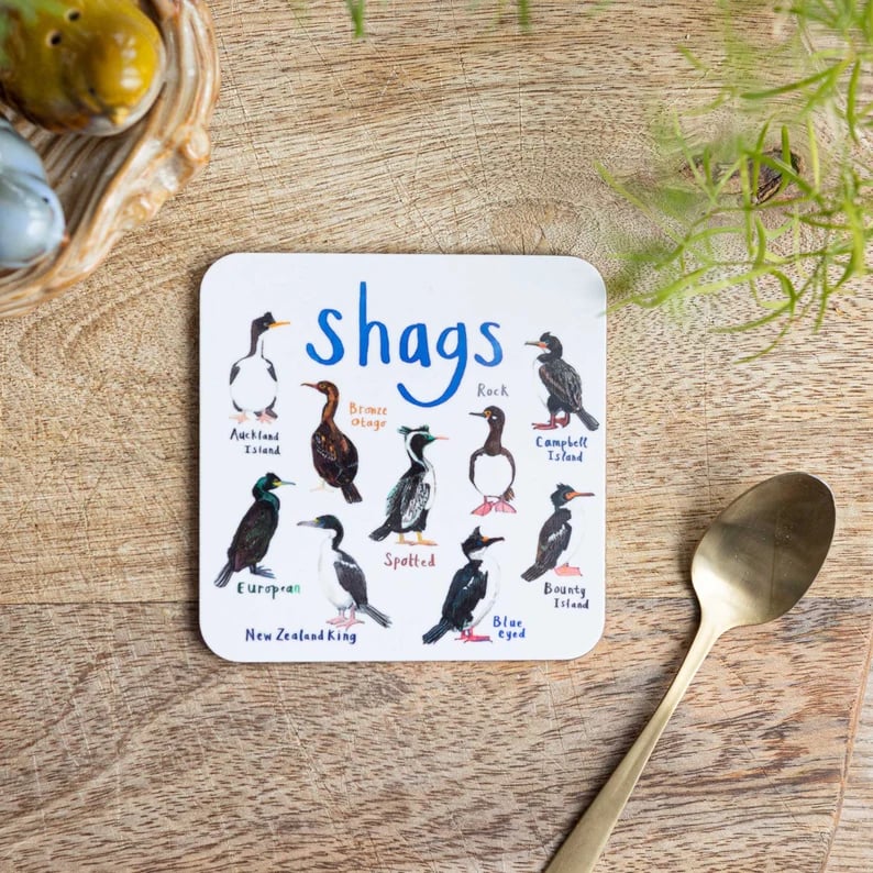 Set of 4 Bird Pun Coasters