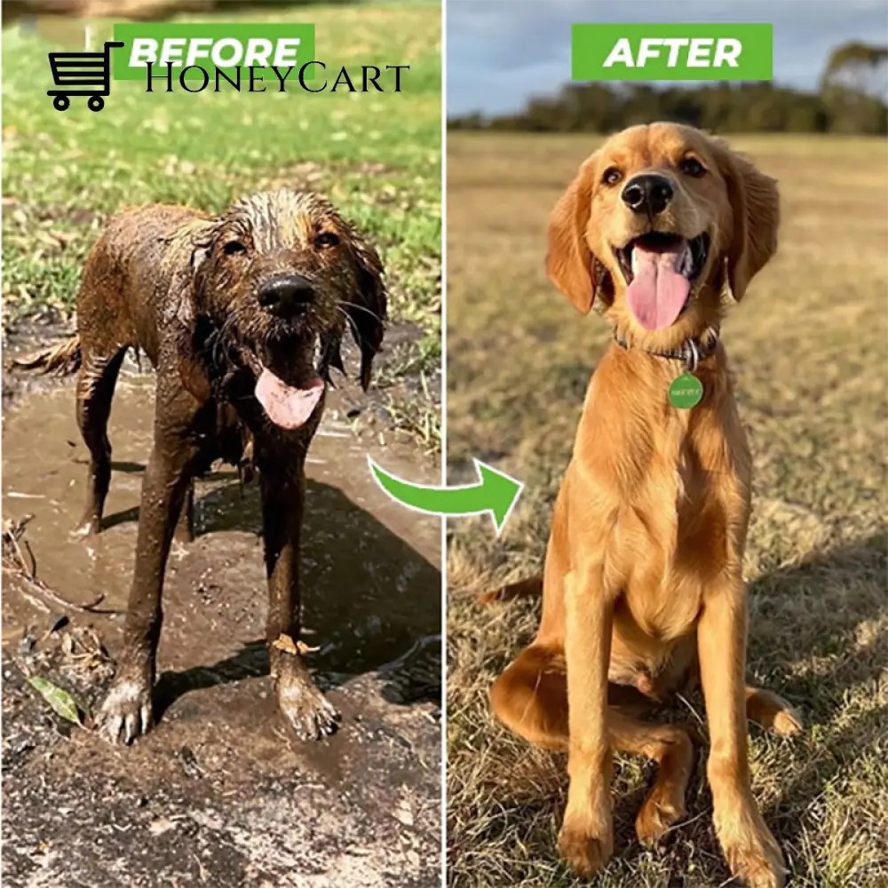 High-Pressure Dog / Pets Shower Gun