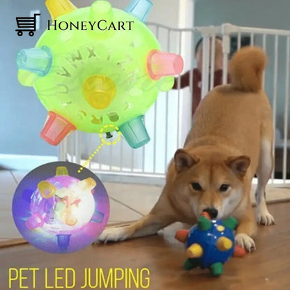 Hot Salejumping Activation Ball For Dogs And Cats