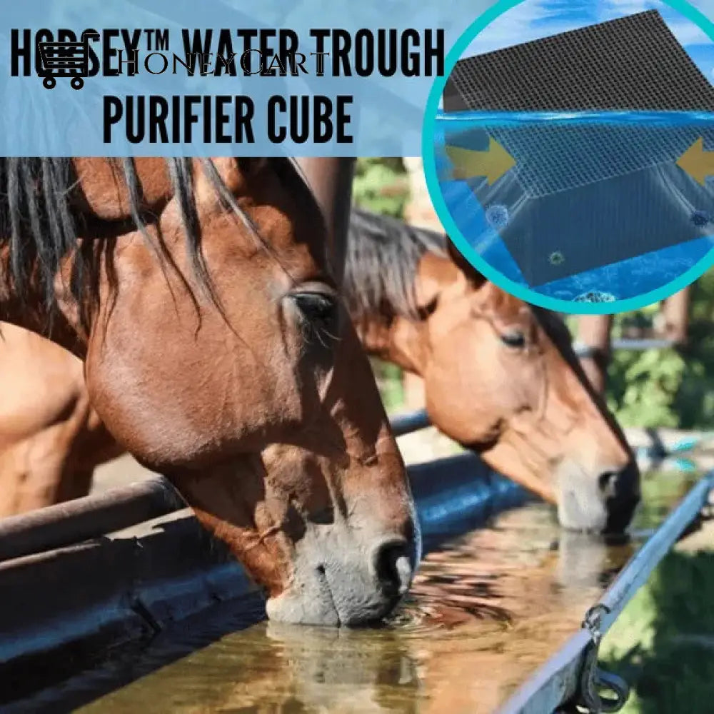 Last Day 48% Off Livestock Water Trough Purifier Tool