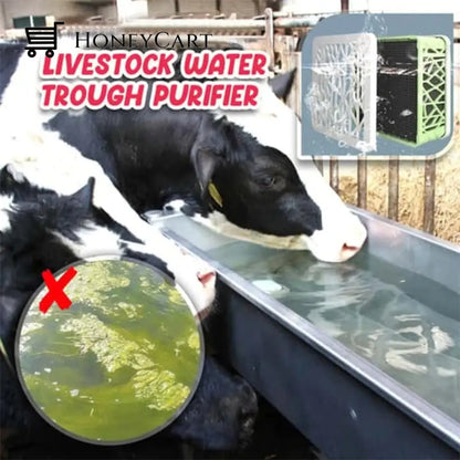 Last Day 48% Off Livestock Water Trough Purifier Tool