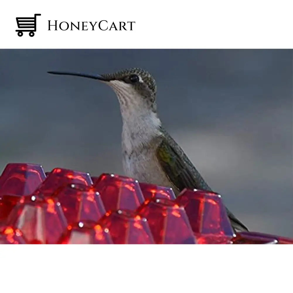 Marys Sweety Hummingbird Feeder With Perch And Built-In Ant Moat - Easy To Clean Best Feeders Gift