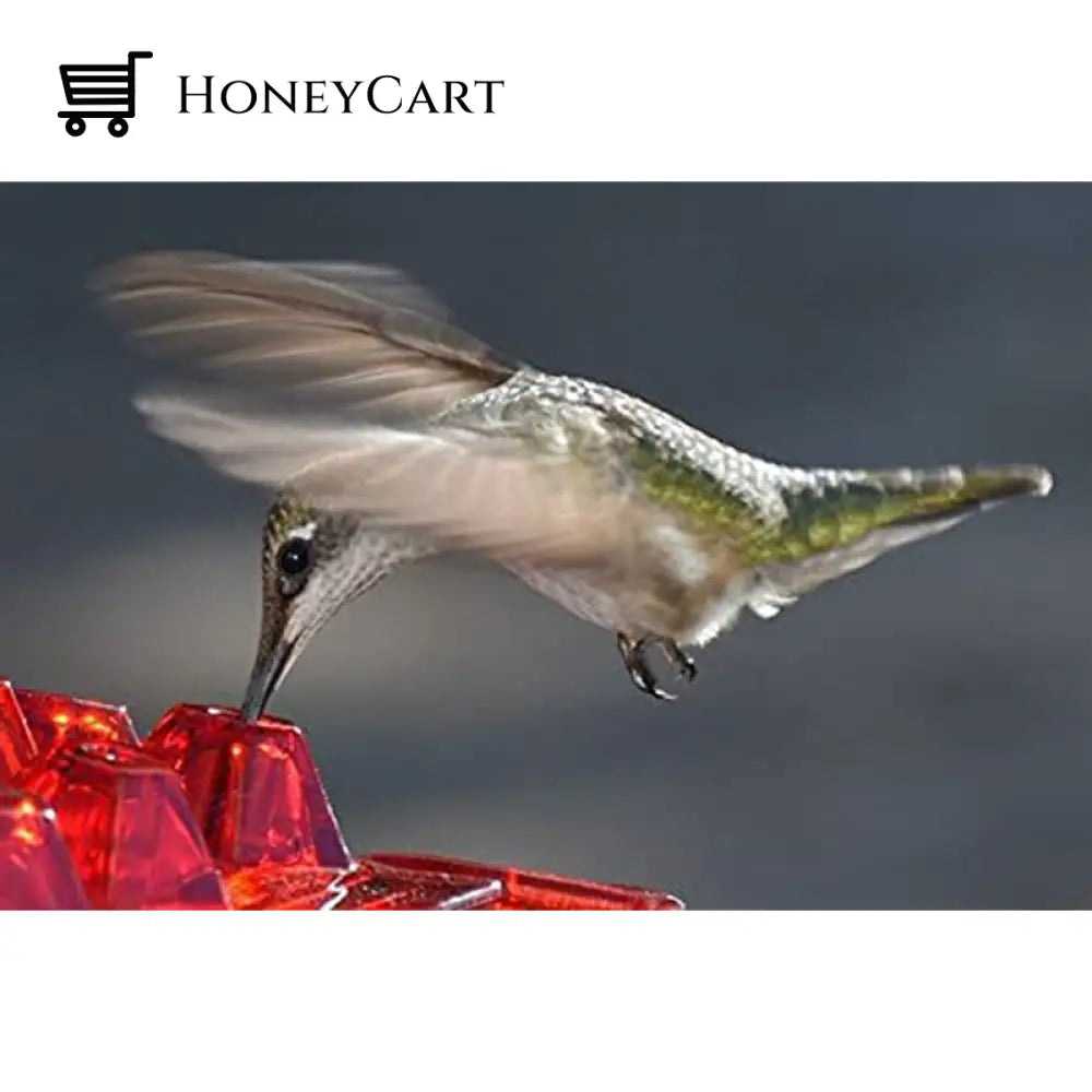 Marys Sweety Hummingbird Feeder With Perch And Built-In Ant Moat - Easy To Clean Best Feeders Gift