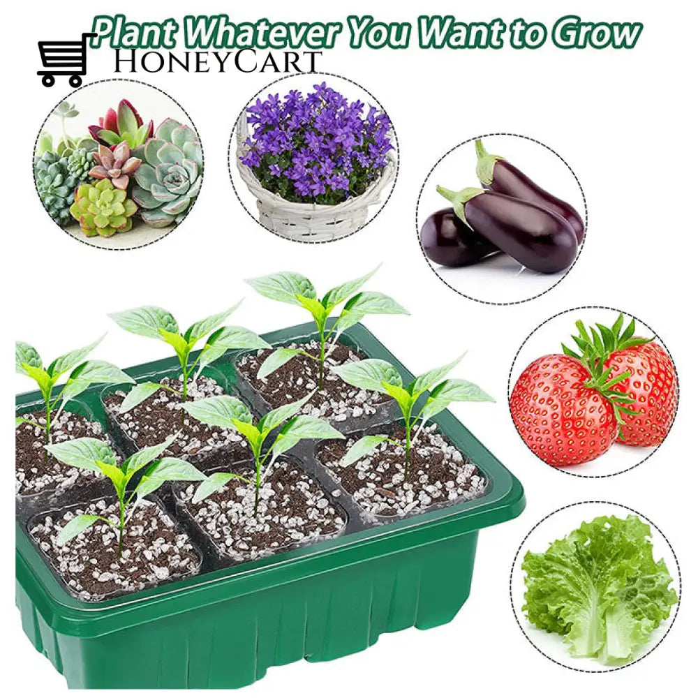 Mini Greenhouse Nursery Tray50% Off Household & Accessories