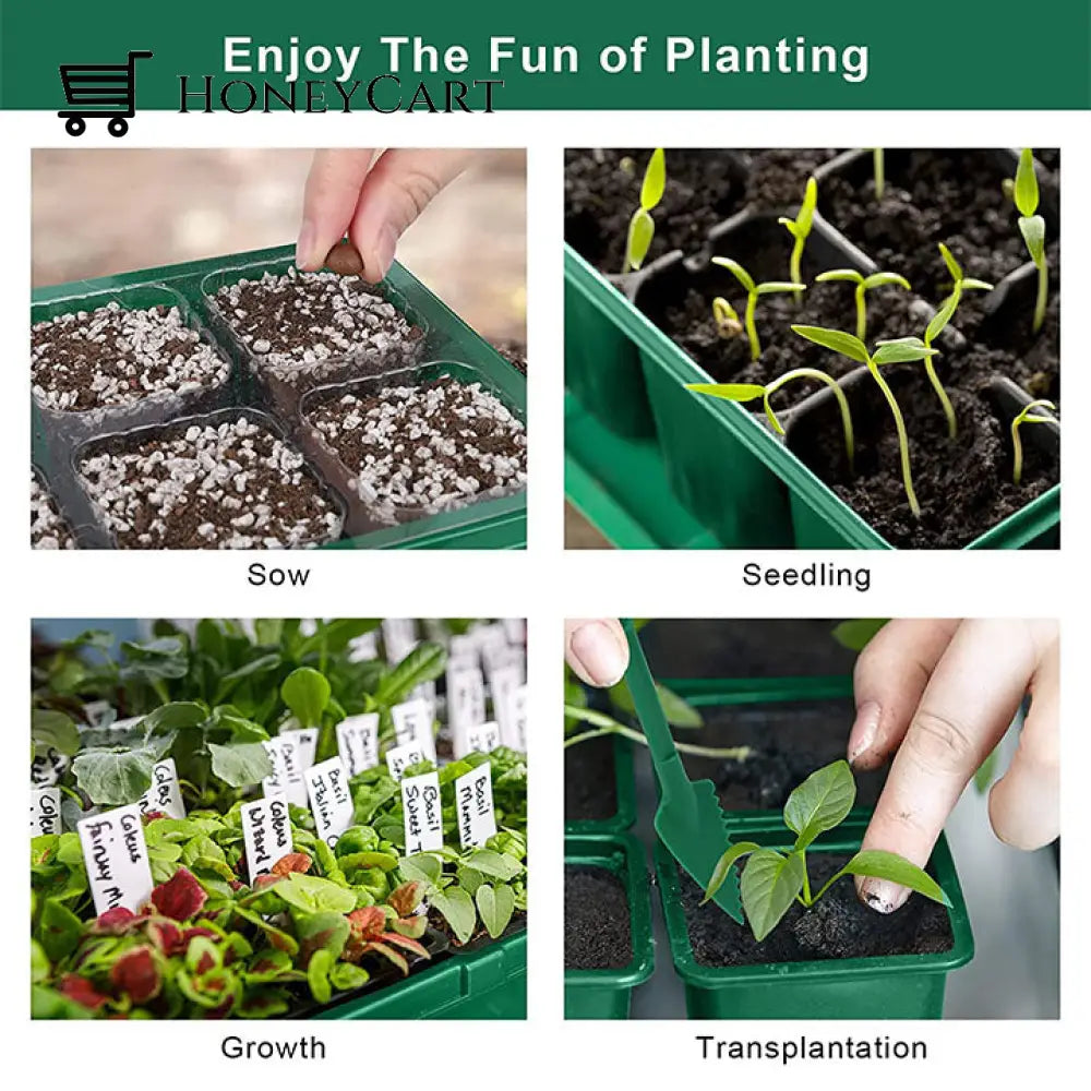 Mini Greenhouse Nursery Tray50% Off Household & Accessories