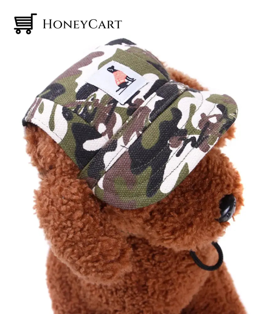 Outdoor Dog Hat