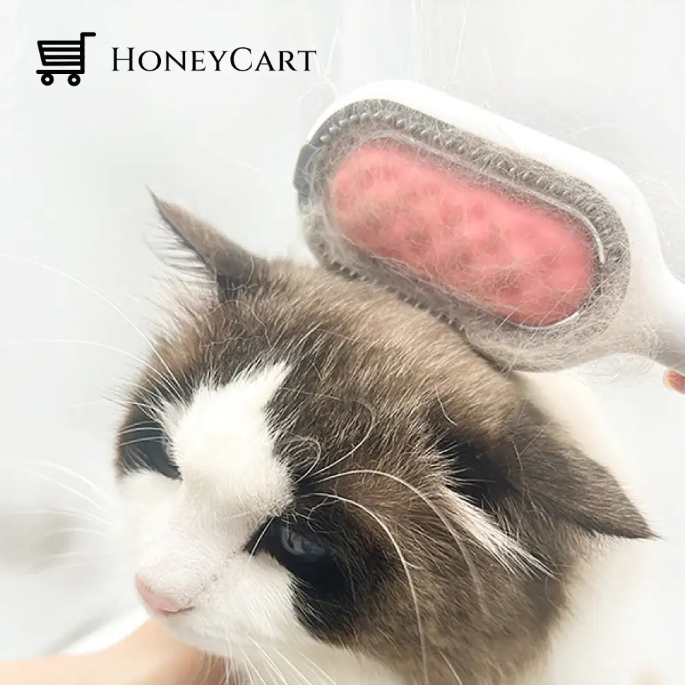 Pet Hair Removal Comb With Water Tank