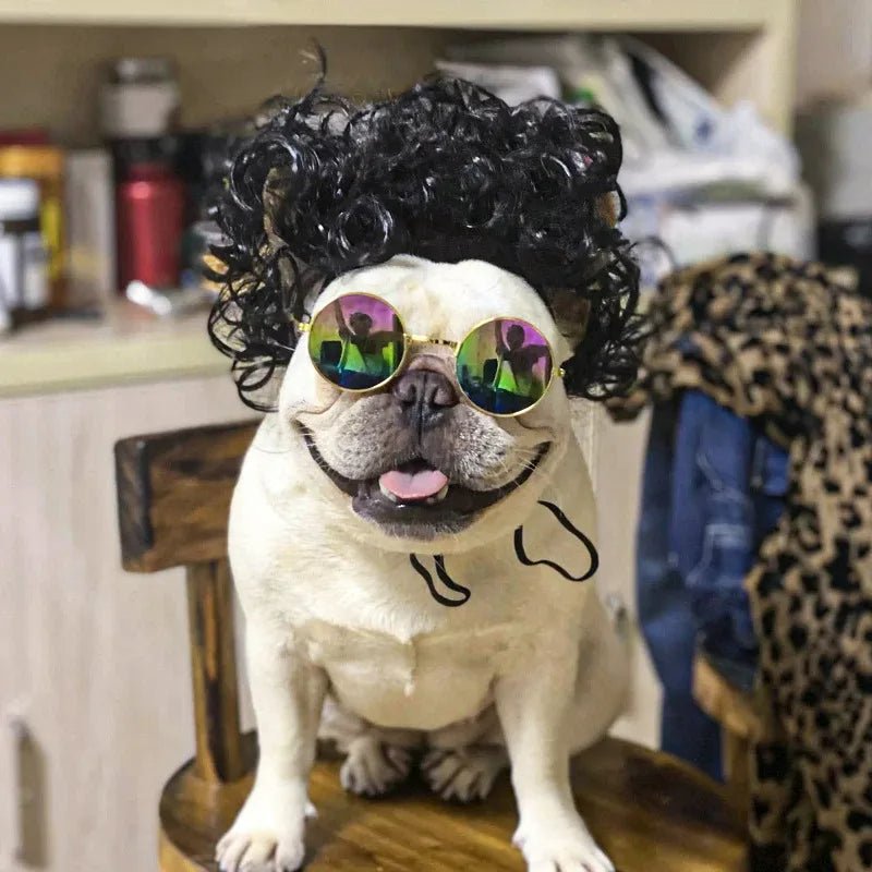 Pet Wigs Cosplay Props - Unleash Their Personality