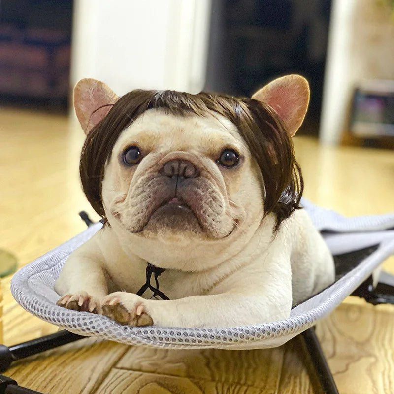 Pet Wigs Cosplay Props - Unleash Their Personality