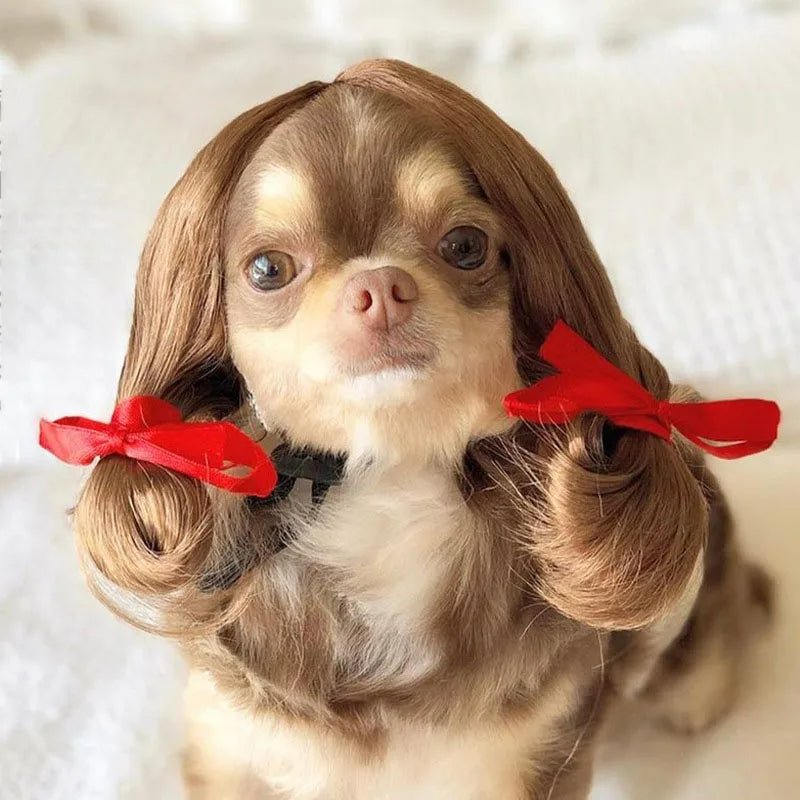 Pet Wigs Cosplay Props - Unleash Their Personality