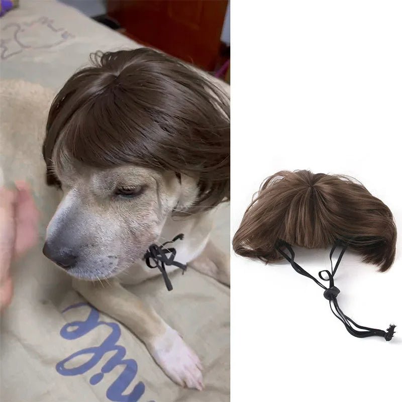 Pet Wigs Cosplay Props - Unleash Their Personality