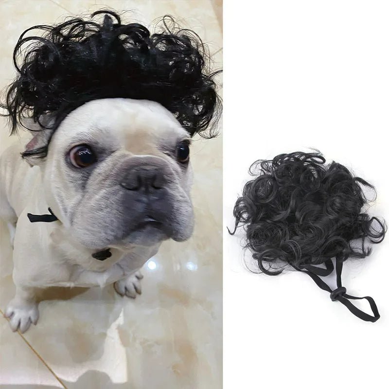 Pet Wigs Cosplay Props - Unleash Their Personality