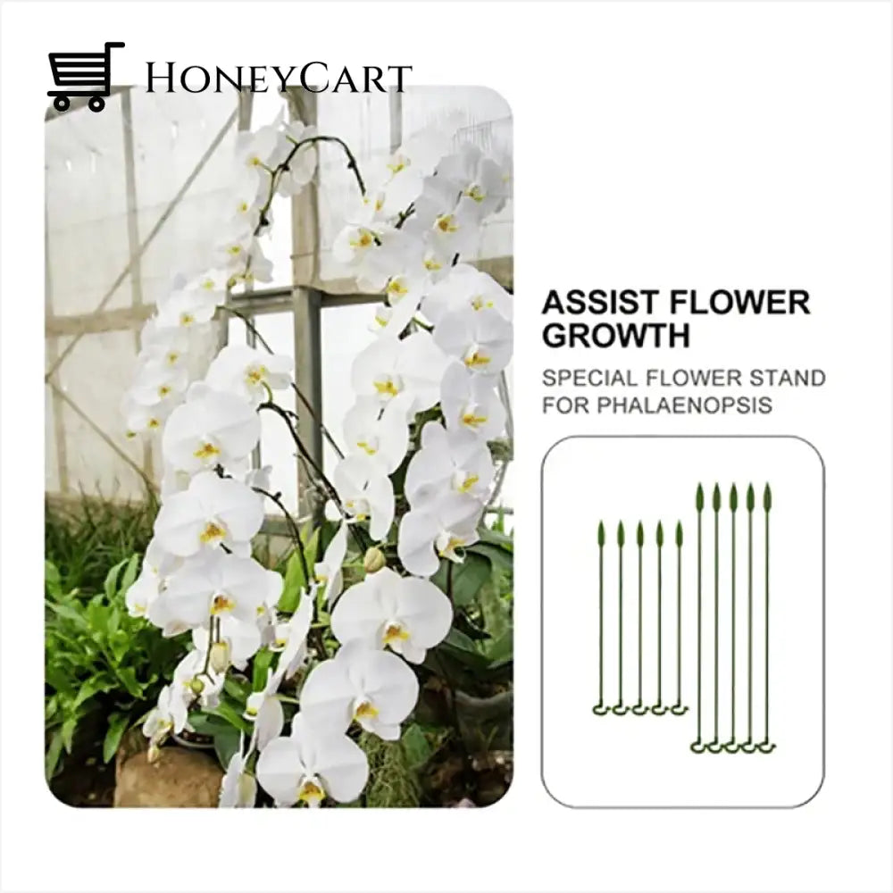 Plant Support Stake