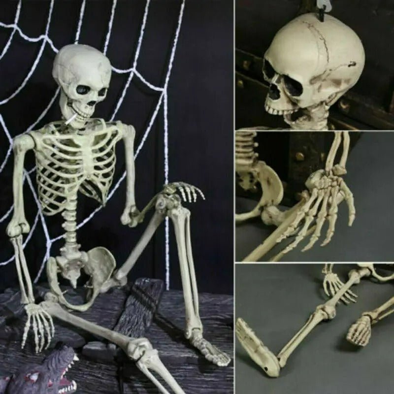 Poseable Skeleton - Creepy Halloween Decor