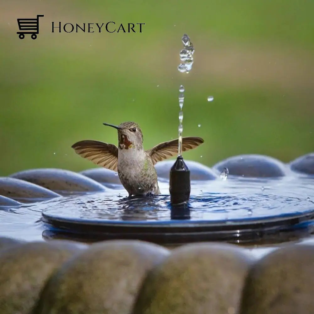 Solar Powered Water Fountain