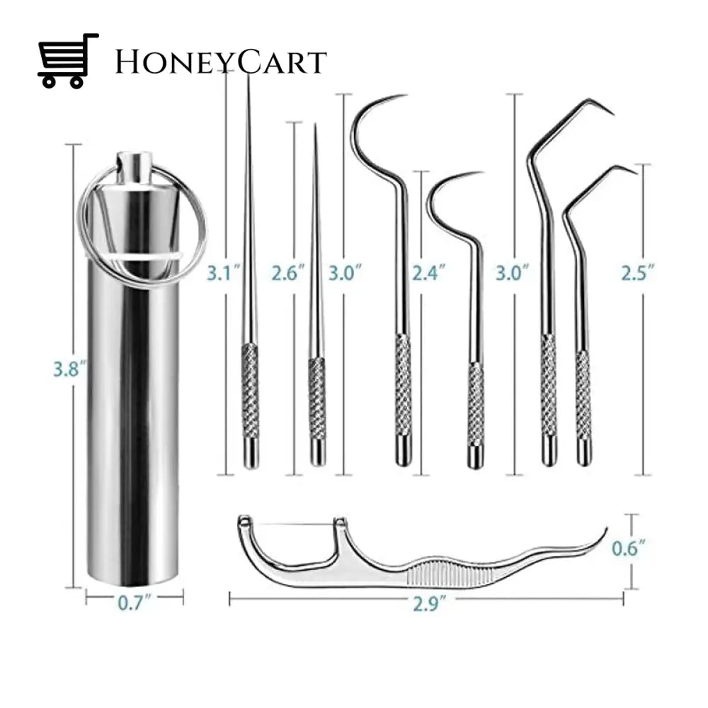 Stainless Steel Toothpick Set